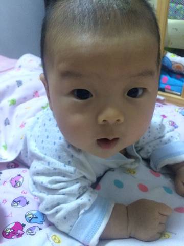 journal_insert_pic_1201709070