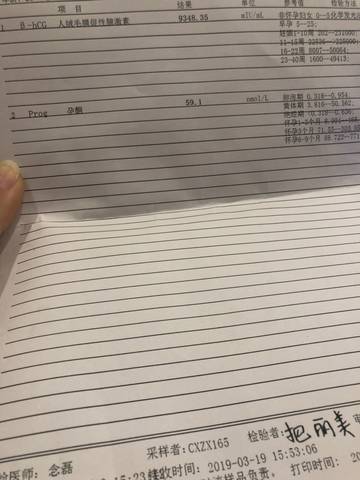 journal_insert_pic_1201846301