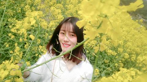 journal_insert_pic_1202294392