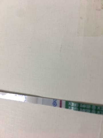 journal_insert_pic_1202082877