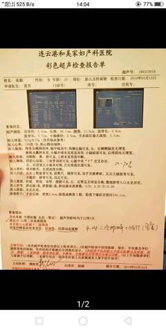 journal_insert_pic_1203273039