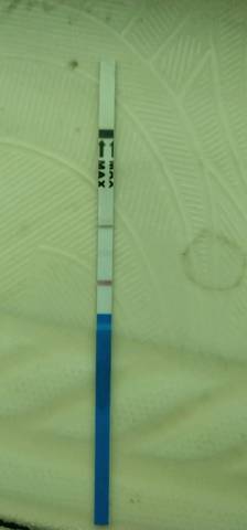 journal_insert_pic_1203353556