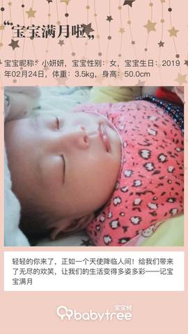 journal_insert_pic_1203676535