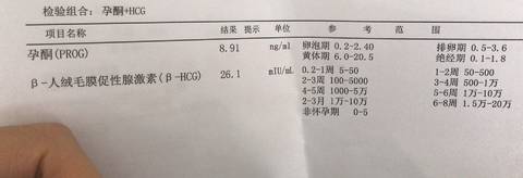 journal_insert_pic_1204500848