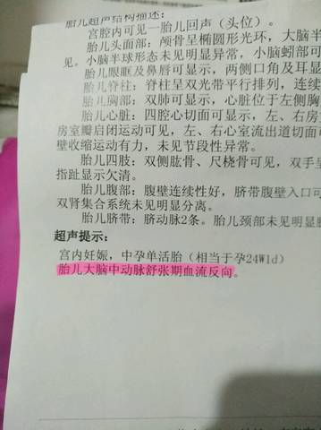 journal_insert_pic_1204584460