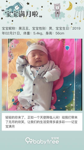 journal_insert_pic_1205228887