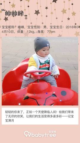 journal_insert_pic_1205134439