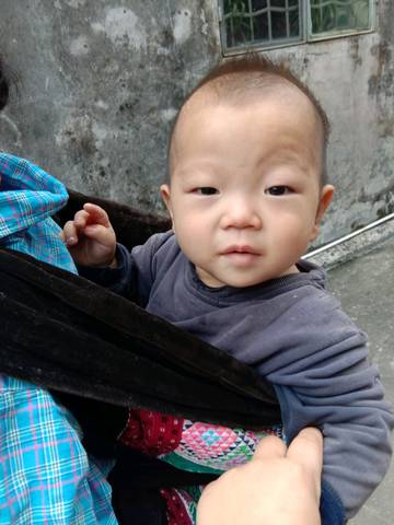 journal_insert_pic_1205453315