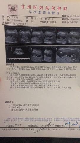 journal_insert_pic_1206039818