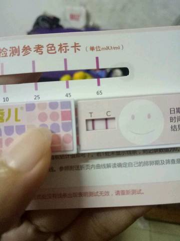 journal_insert_pic_1206917191