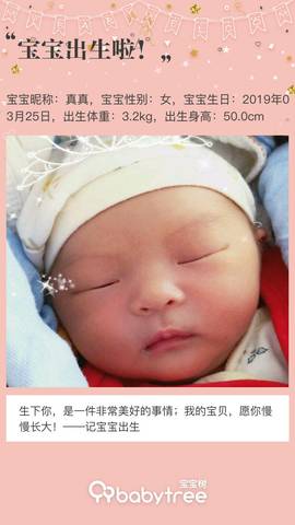 journal_insert_pic_1206551334