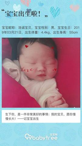 journal_insert_pic_1206517866
