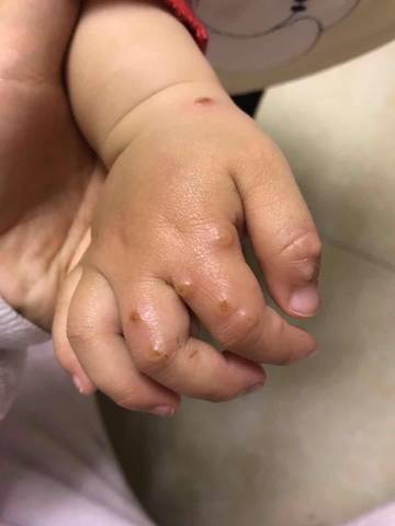 journal_insert_pic_1207366687