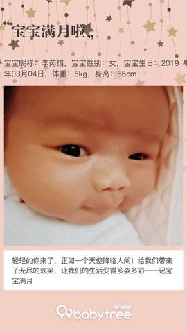 journal_insert_pic_1208459556