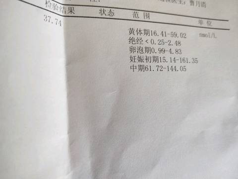 journal_insert_pic_1208253725