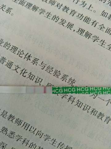 journal_insert_pic_1208371931