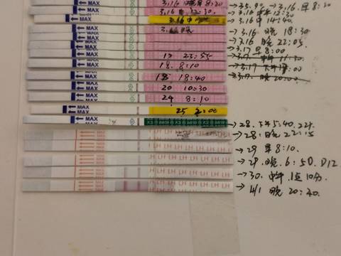 journal_insert_pic_1208604400