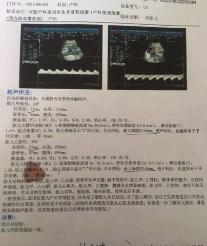 journal_insert_pic_1209467597