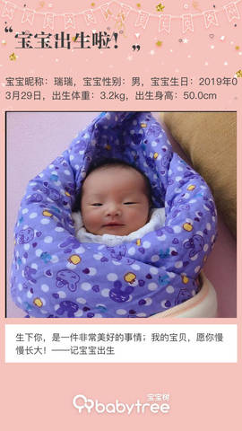 journal_insert_pic_1209701622