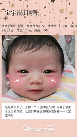 journal_insert_pic_1209720734