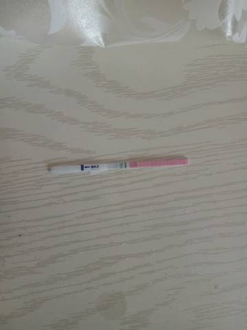 journal_insert_pic_1209433589