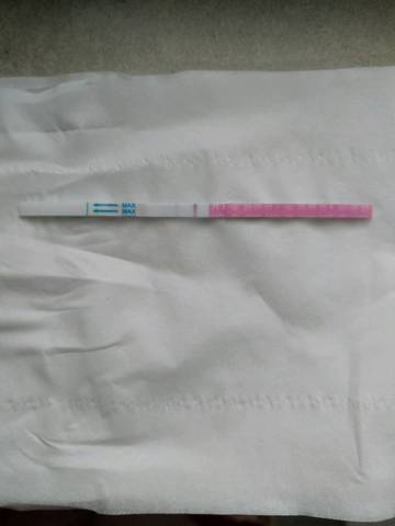 journal_insert_pic_1210682423