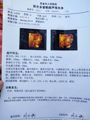 journal_insert_pic_1210666998