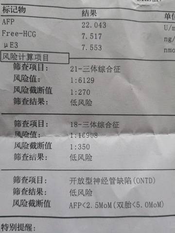 journal_insert_pic_1210514417