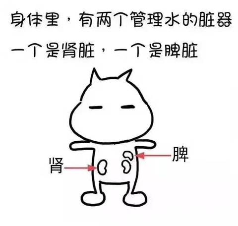 journal_insert_pic_1211305952