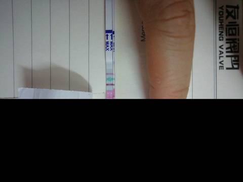 journal_insert_pic_1211425642