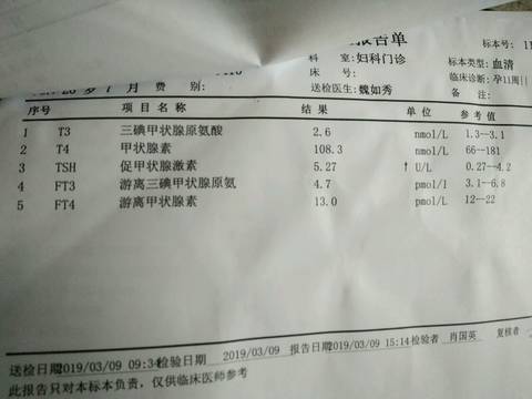 journal_insert_pic_1212718410