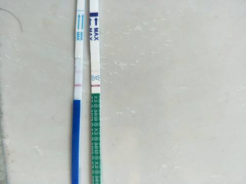 journal_insert_pic_1212410235