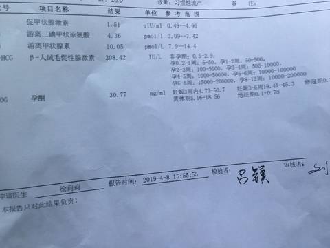 journal_insert_pic_1212736395