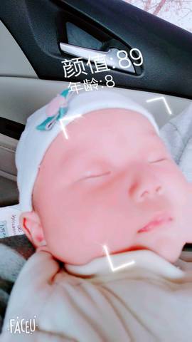 journal_insert_pic_1212878205