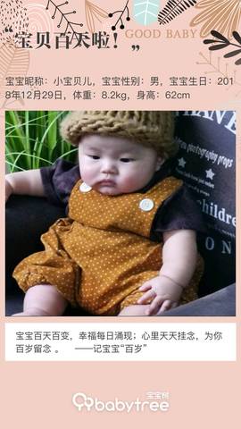 journal_insert_pic_1213609817