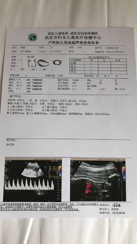 journal_insert_pic_1213428938