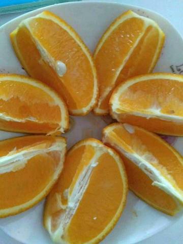 journal_insert_pic_1214914521