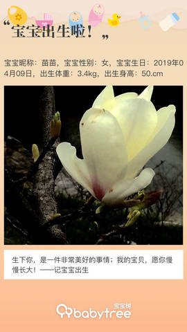 journal_insert_pic_1214402820