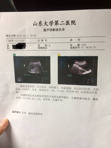 journal_insert_pic_1214522629