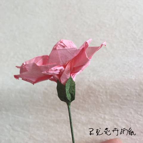 journal_insert_pic_1215202699