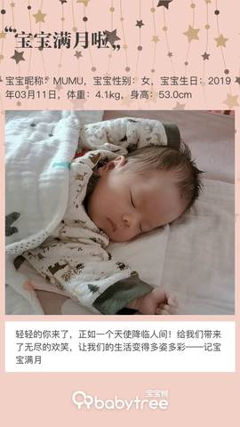 journal_insert_pic_1215178889