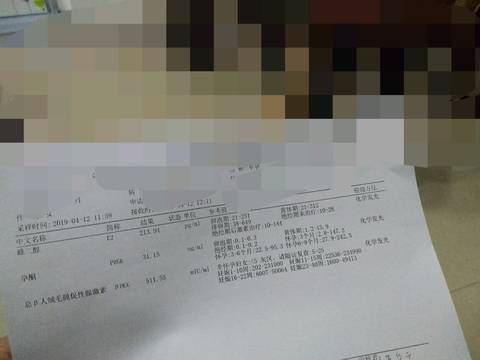 journal_insert_pic_1215395340