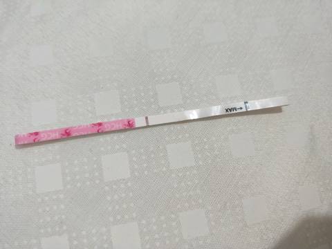 journal_insert_pic_1215453286