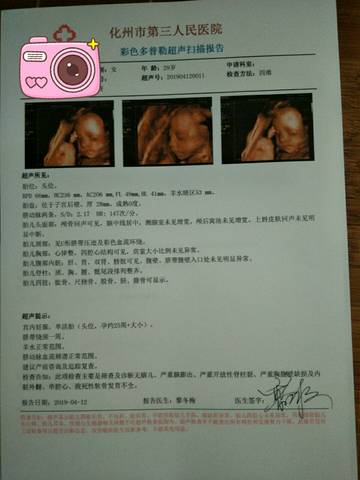 journal_insert_pic_1215278559