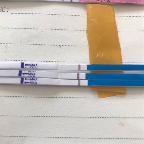 journal_insert_pic_1215718066