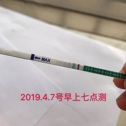journal_insert_pic_1215624915