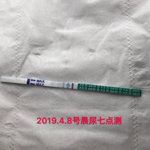 journal_insert_pic_1215624922