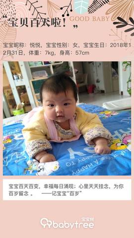 journal_insert_pic_1215660626