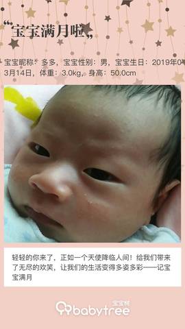 journal_insert_pic_1215649206