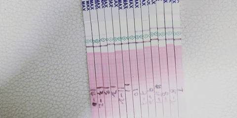 journal_insert_pic_1216551542